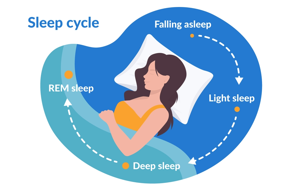 Sleep Cycles Explained: The Secret to Waking Up Refreshed